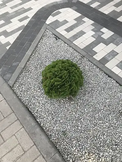 Reliable Paving Contractor