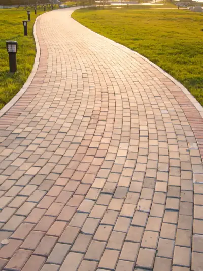 Expert Paving Contractor