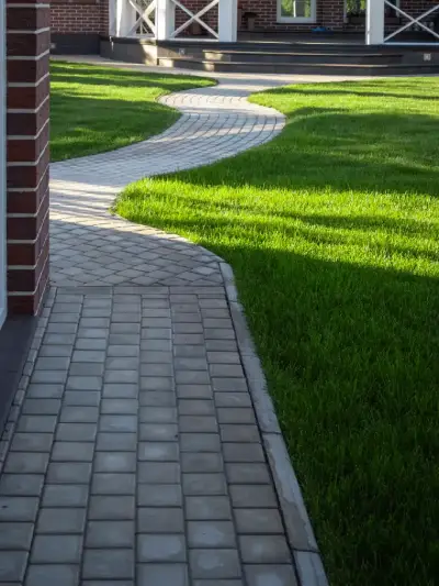 Expert Paving Services